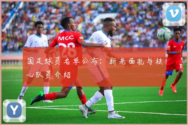 国足球员名单公布：新老面孔与核心队员介绍